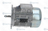МОТОР ДЛЯ КАРТОФЕЛЕЧИСТКИ APACH F2689