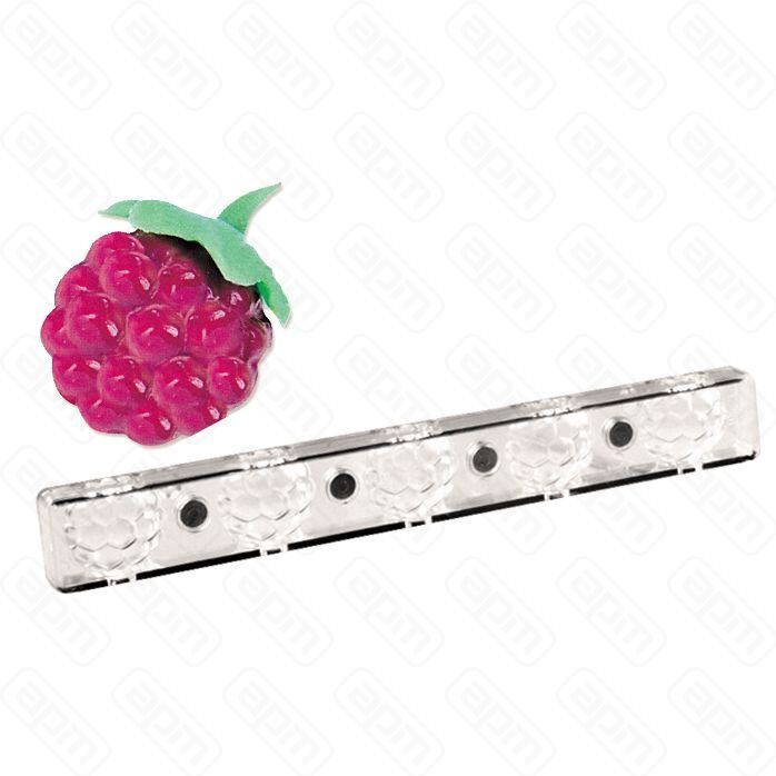 Пластиковая форма на магнитах Малина лесная 5 ячеек 3232 мм PL Proff Cuisine