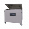 Напольный вакуумный упаковщик DZQ-11002L нерж газ